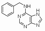 6-苄氨基嘌呤溶液（6-BA）1mg/ml