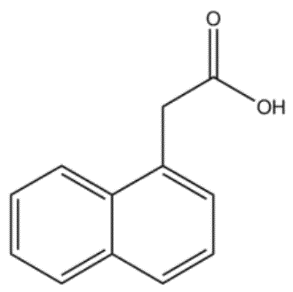 α-萘乙酸溶液（α-NAA）1mg/ml