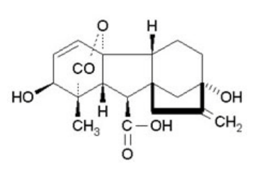 赤霉素溶液(GA3)1mg/ml